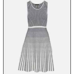 Banana Republic Sleeveless Navy and White Striped Pleated Knit Dress